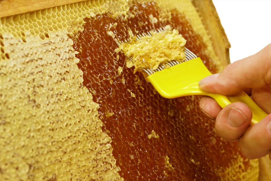 Honey Tools — Dancing Bee Equipment USA