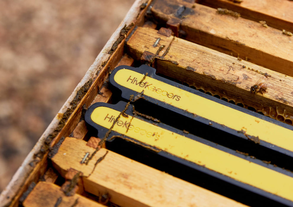 Frame with 8 Cassettes for Micro Honey Harvester | HiveKeepers