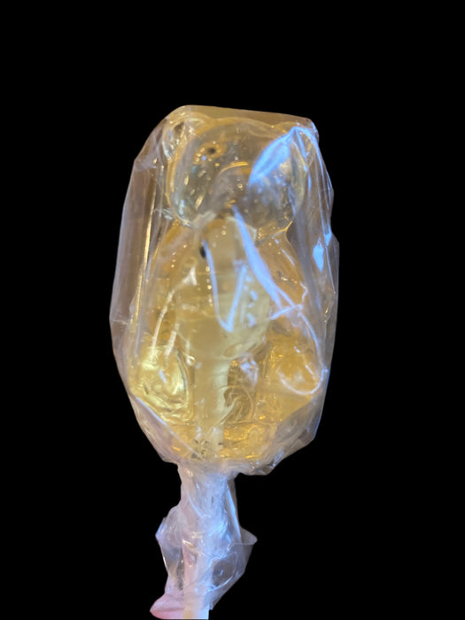 Honey Bear Sucker