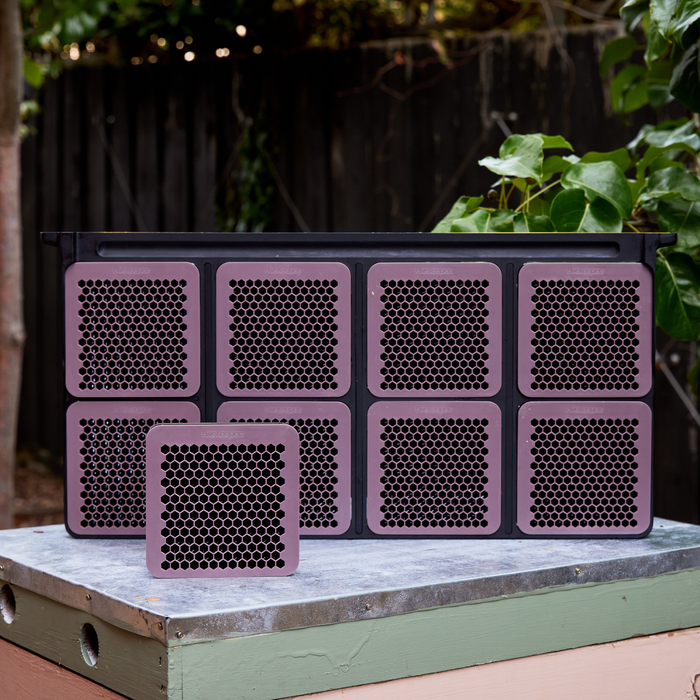 Frame with 8 Cassettes for Micro Honey Harvester | HiveKeepers