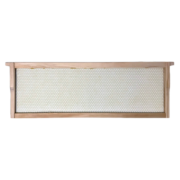 Assembled Pierco/Alliance Double Waxed Frames | Medium | White