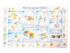 Educational poster titled 'The Beekeeper's Year' with monthly illustrations and text.