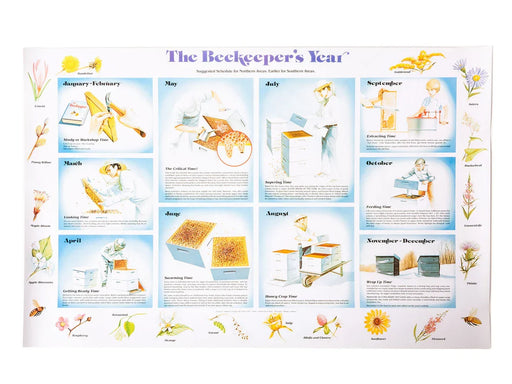 Educational poster titled 'The Beekeeper's Year' with monthly illustrations and text.