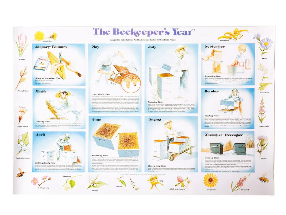Educational poster titled 'The Beekeeper's Year' with monthly illustrations and text.