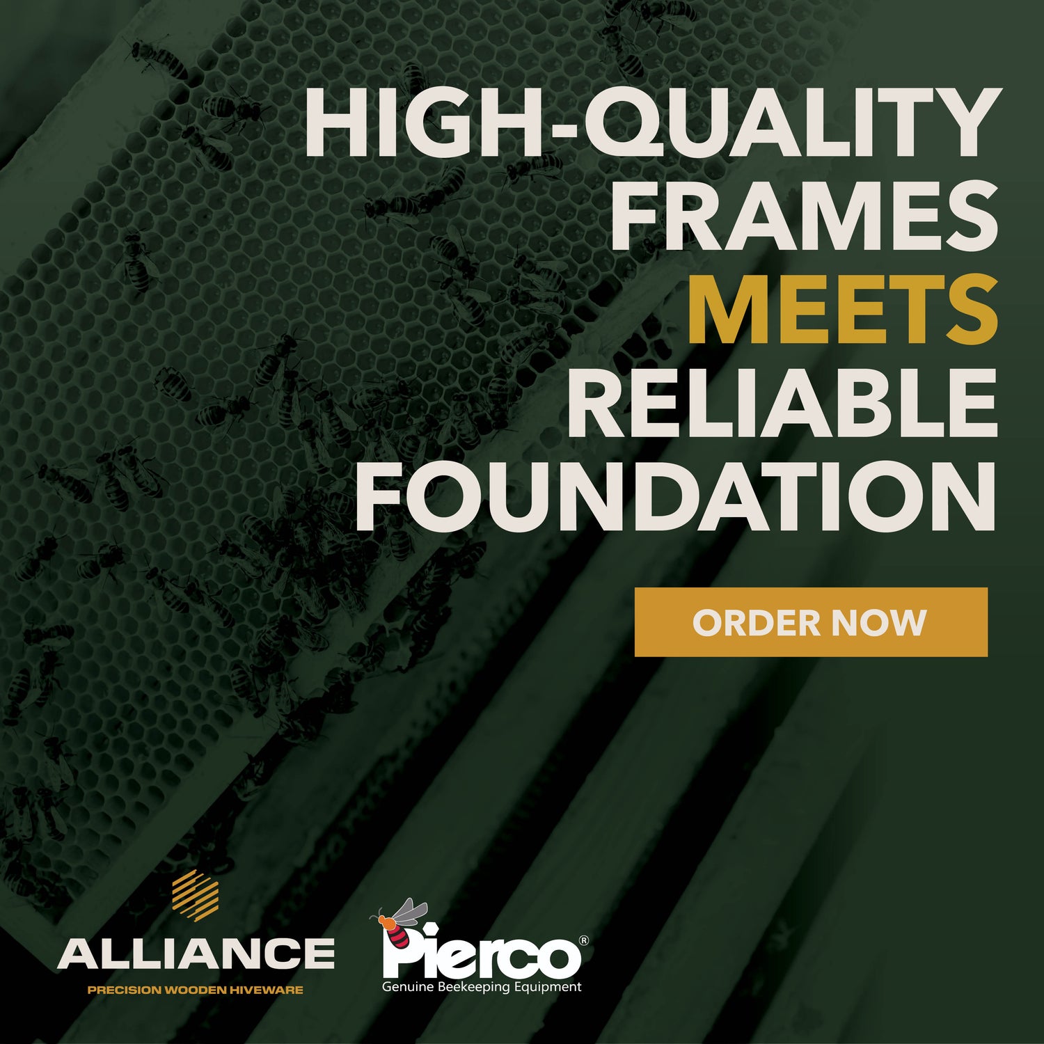 Top-quality frames meet reliable foundation.