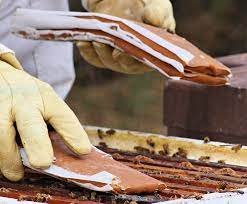 Global Pollen Patties with Canadian Rocket Fuel β Dancing Bee Equipment USA