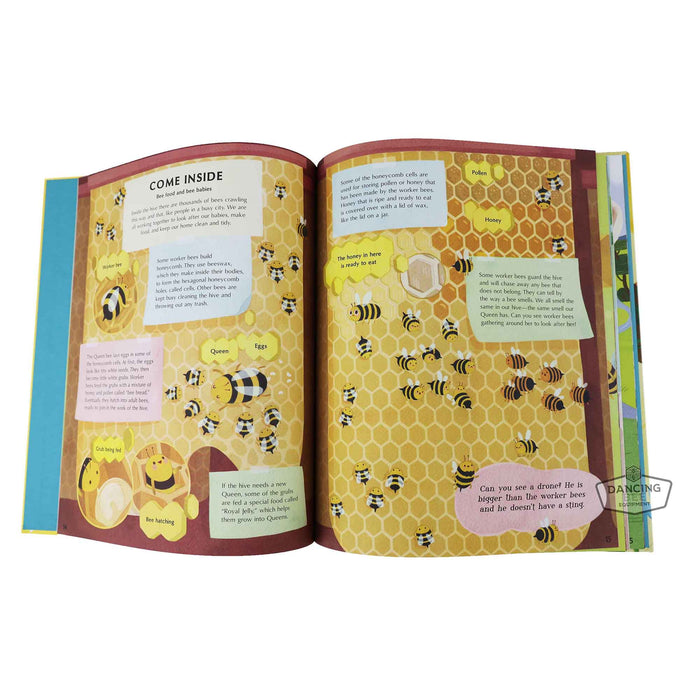 The Secret Life of Bees | Moira Butterfield | Book